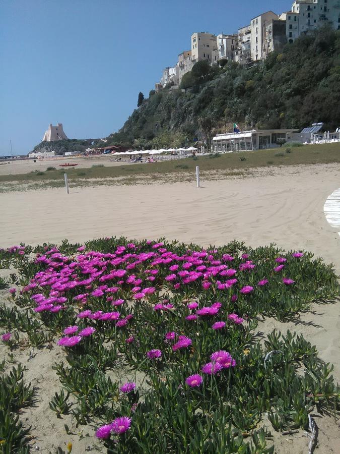 Flat Cost Appartement Sperlonga